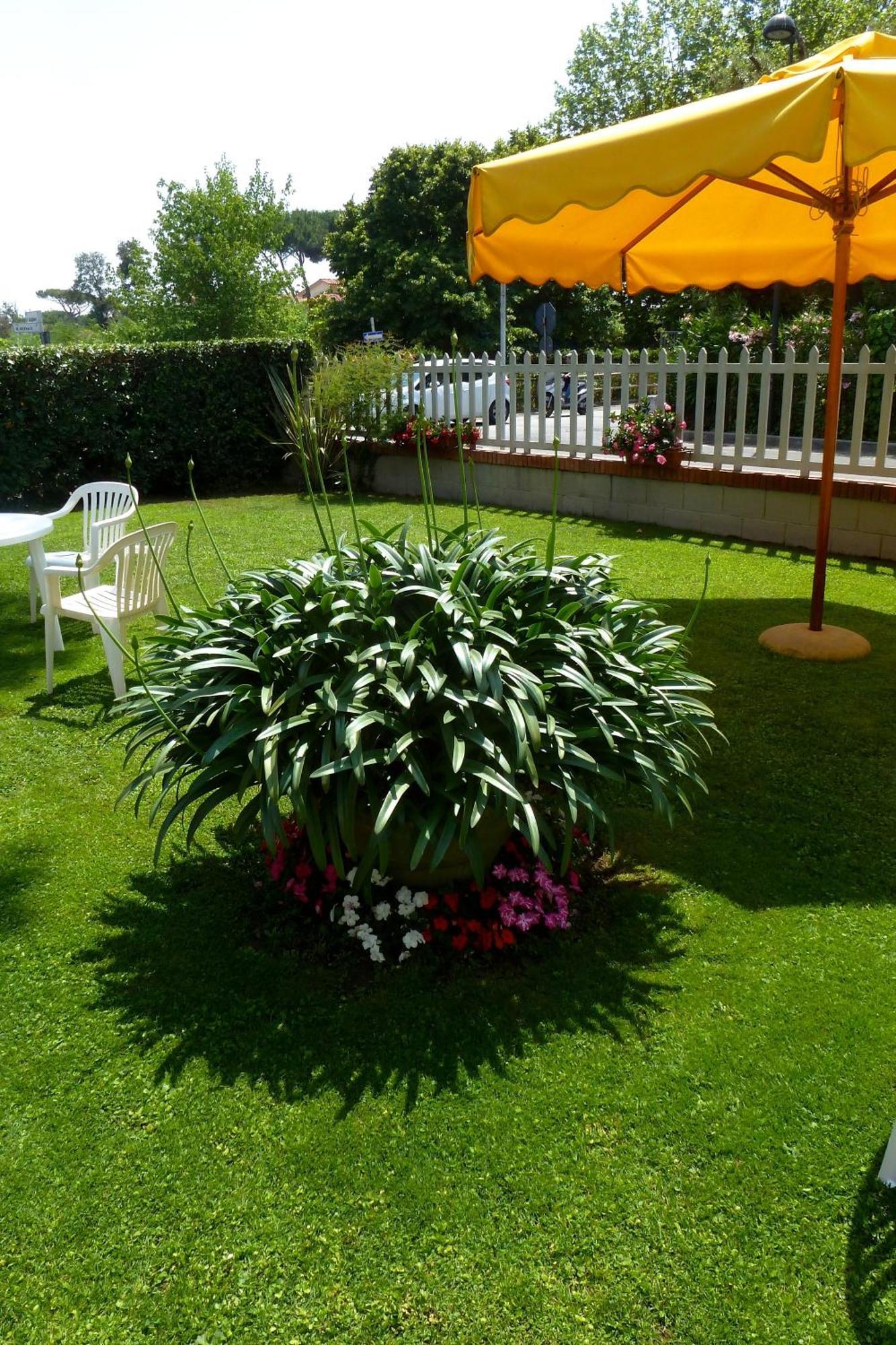 Hotel Versilia Λίντο ντι Καμαϊόρε Εξωτερικό φωτογραφία
