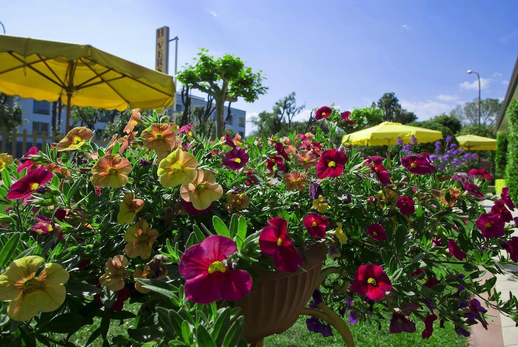 Hotel Versilia Λίντο ντι Καμαϊόρε Εξωτερικό φωτογραφία