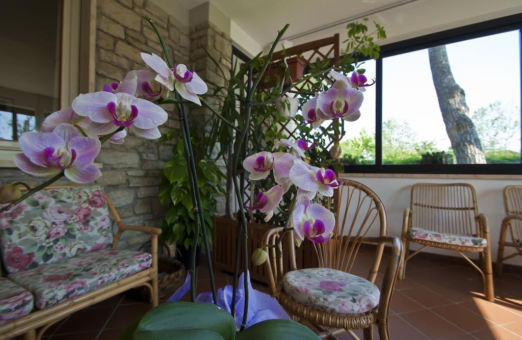 Hotel Versilia Λίντο ντι Καμαϊόρε Εξωτερικό φωτογραφία